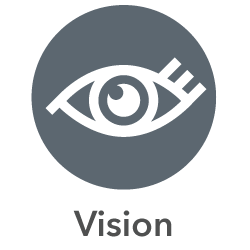 Vision